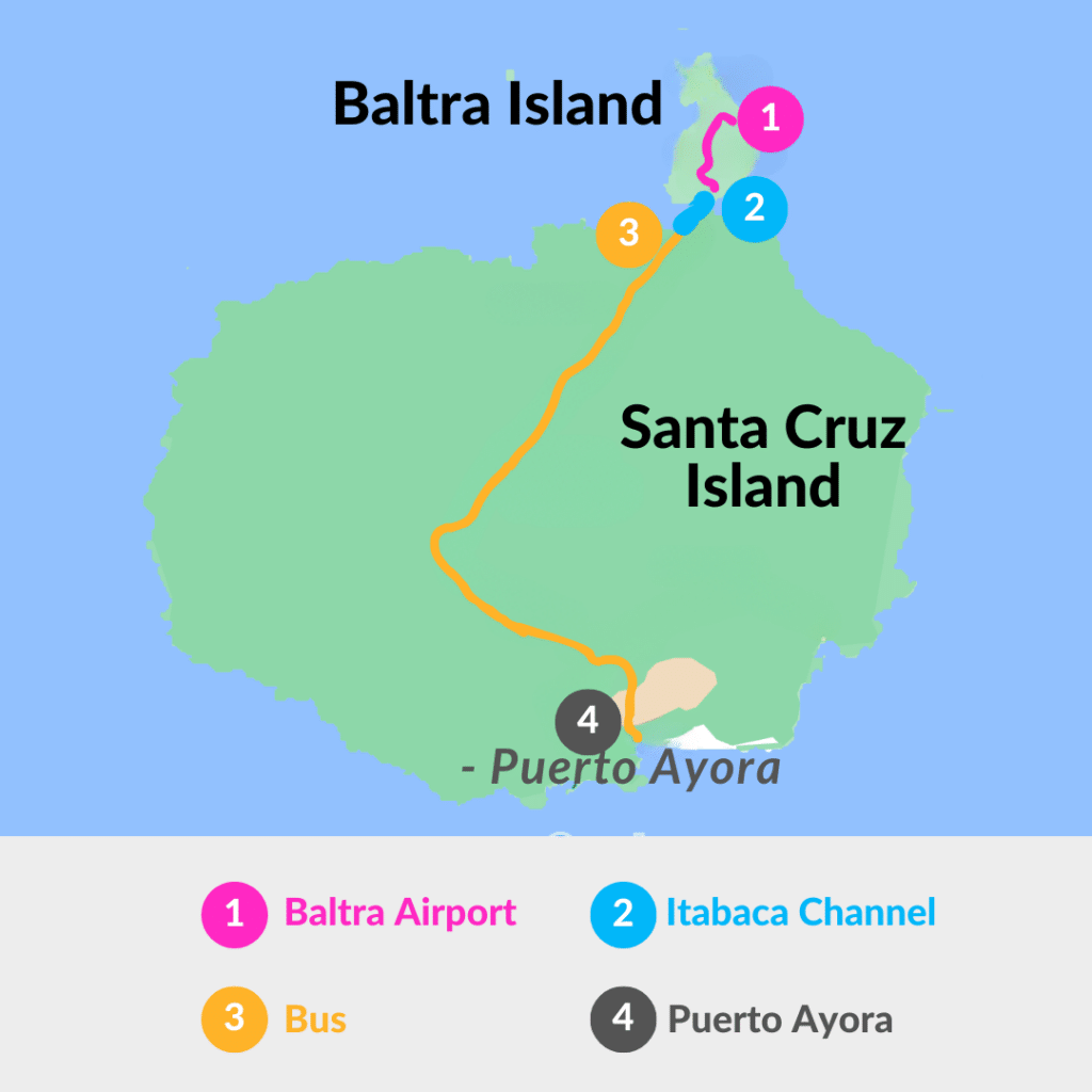 Steps to get from Baltra to Santa Cruz